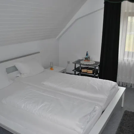 Inn Landgasthof Hirschen Untermettingen 3*