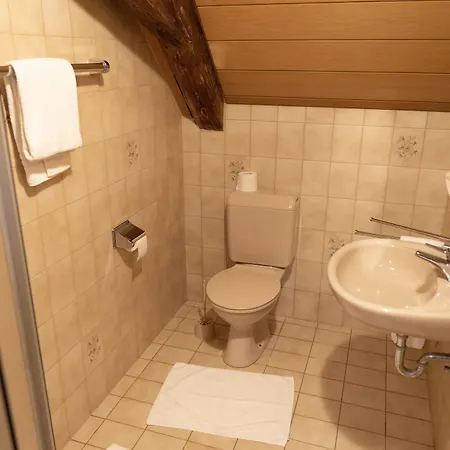 Landgasthof Hirschen Untermettingen אורחן 3*